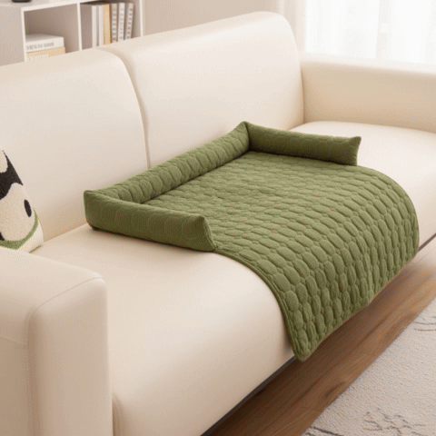 Protection canapé chien GIF gris vert sur canapé beige pâle ou gris avec chiens couchés en trois images défilants