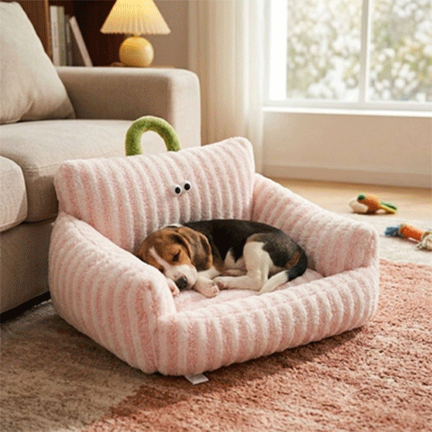 Panier pour Chien | Confortable et Design