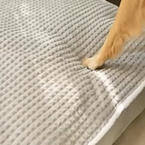 Panier pour Chien | Confort Durable