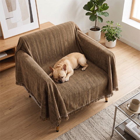 Protection canapé chien GIF marron sur canapé une place petit avec chien couché en rond dormant paisiblement et deux places avec husky couché regardant l'objectif heureux en trois images en boucle