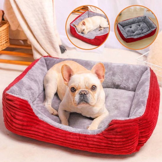 Panier Chien | Confortable et Lavable - Dogscie