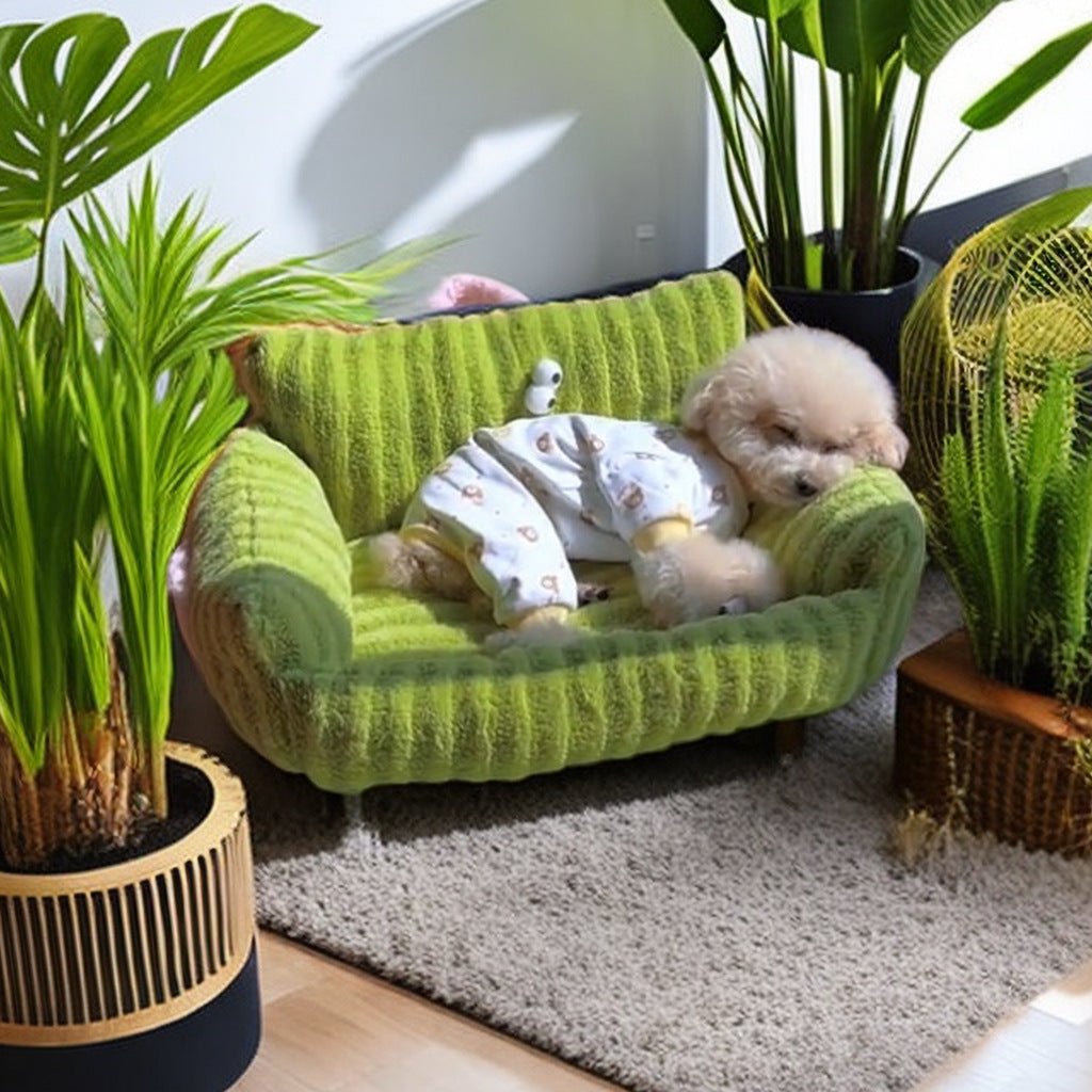 Panier pour Chien | Confort Ultra - Dogscie