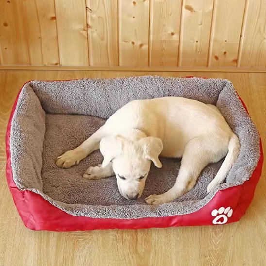 Panier pour chien | Douillet et Lavable - Dogscie