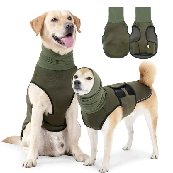 Vêtements pour animaux de compagnie