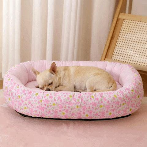Coussin pour chien | Ultra Confortable