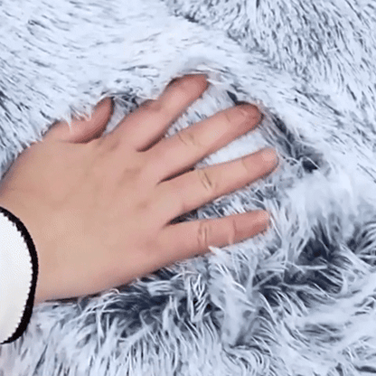 Coussin pour chien GIF gris sur plancherbois avec chien gris et blanc couché heureux et souriant et avec une main carressant et testant le moelleux