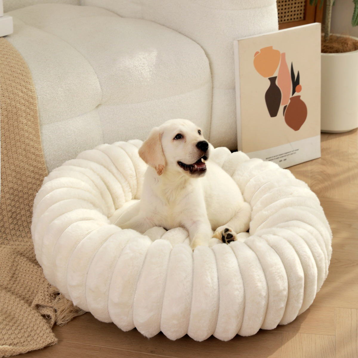Panier pour Chien | Confort Optimal