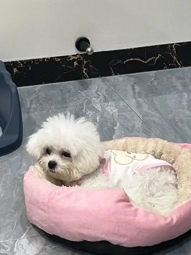 Panier pour chien | Douillet et Résistant