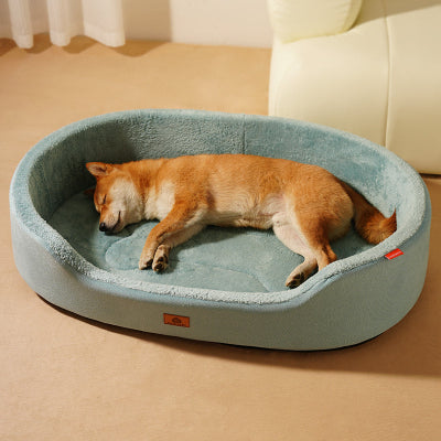 Panier Chien bleu lac sur moquette beige avec chien dormant paisiblement