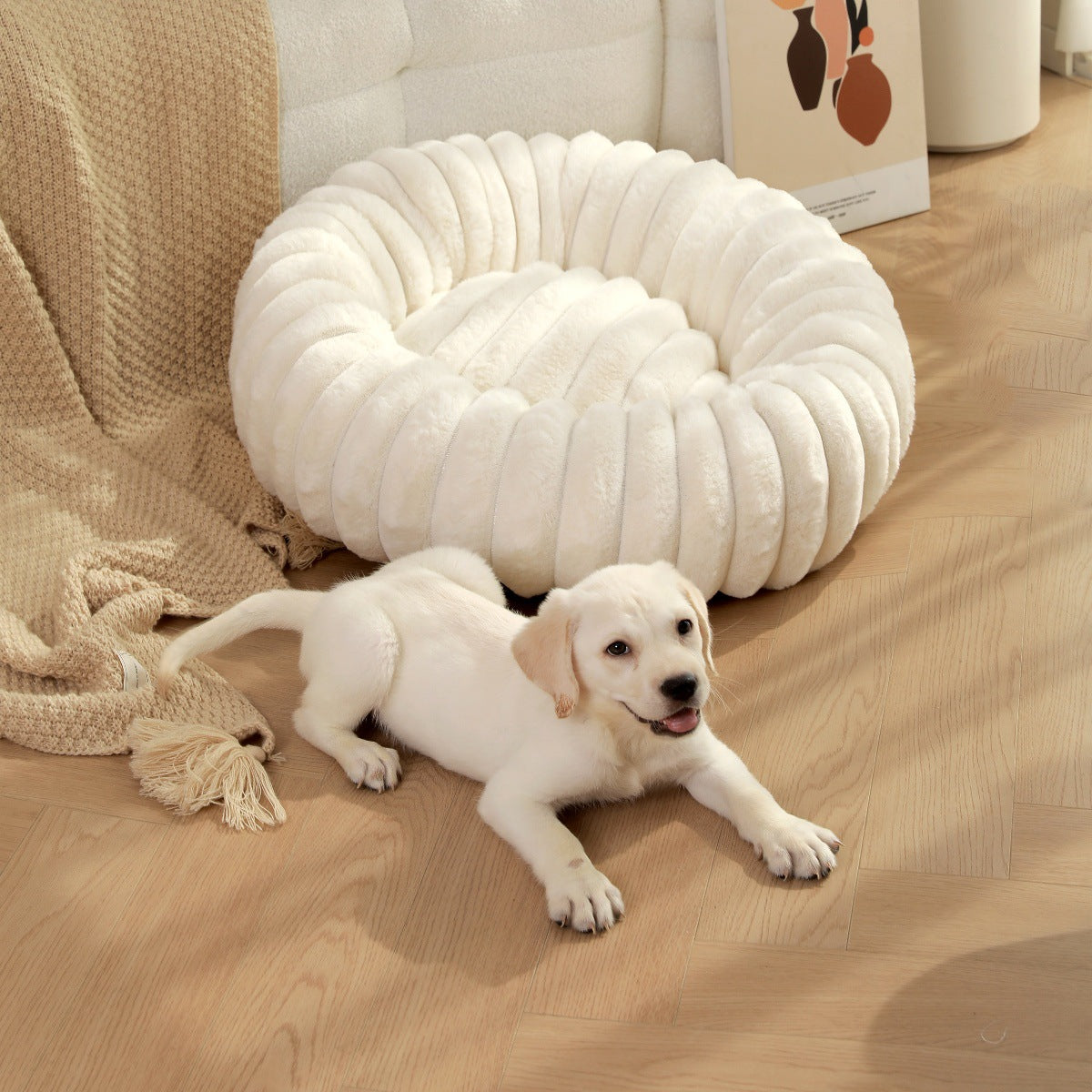 Panier pour Chien | Confort Optimal