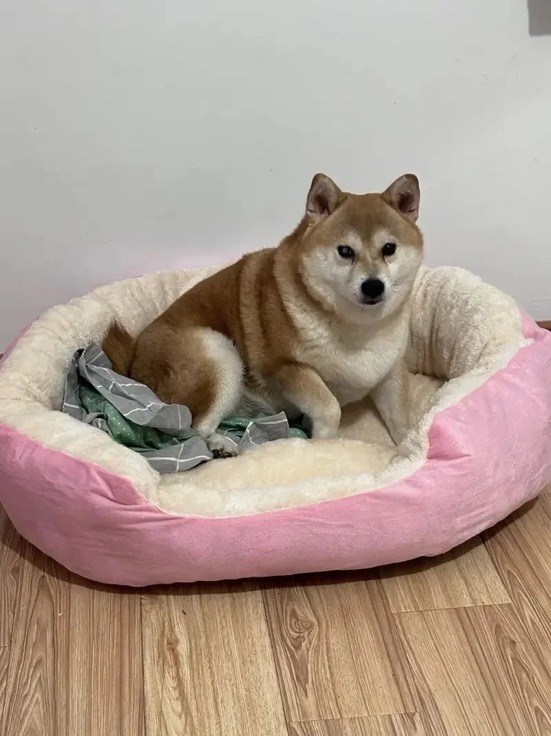 Panier pour chien | Douillet et Résistant