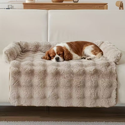 Protection canapé chien beige avec chien dormant paisiblement sur canapé blanc