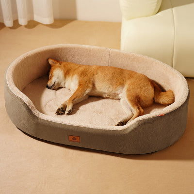 Panier Chien marron sur moquette beige avec chien dormant paisiblement
