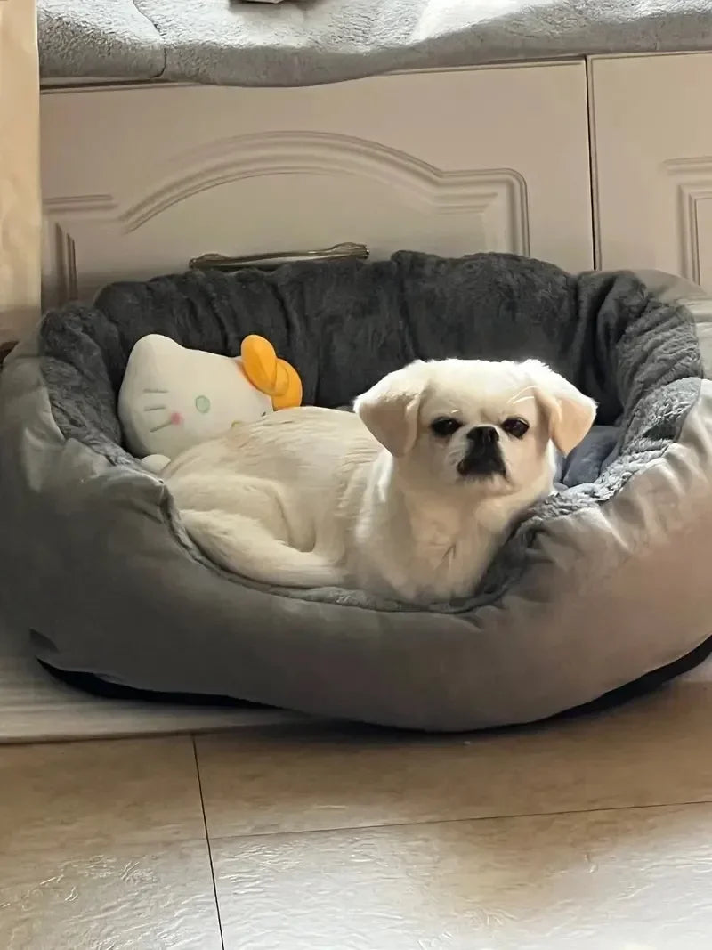 Panier pour chien | Douillet et Résistant