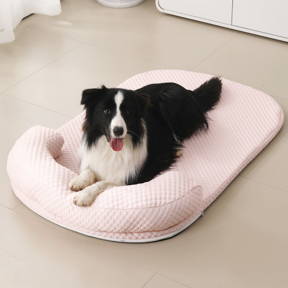 Tapis rafraichissant Chien rose avec chien sur tapis au centre du salon