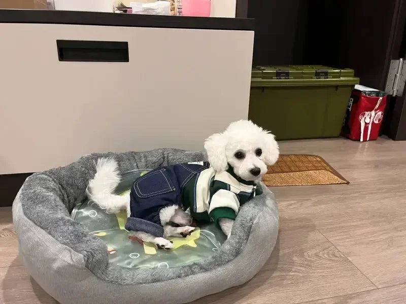 Panier pour chien | Douillet et Résistant