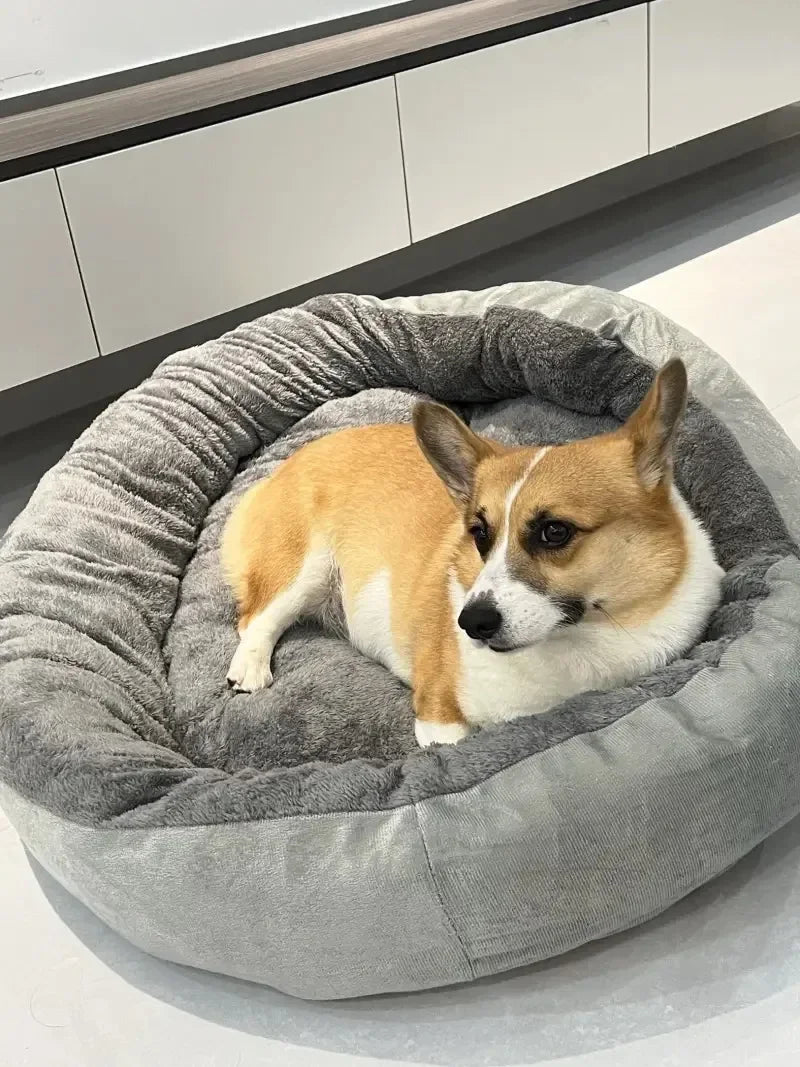 Panier pour chien | Douillet et Résistant