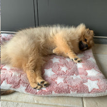 Tapis chien rose étoiles blnches sur carrelages avec chien beige dormant paisiblement