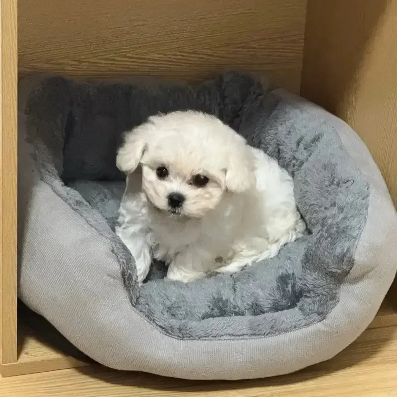 Panier pour chien | Douillet et Résistant