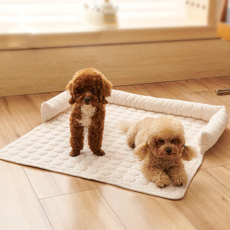 Protection canapé chien beige pâle sur plancher bois franc avec deux caniches un brun debout et un brun pâle couché heureux