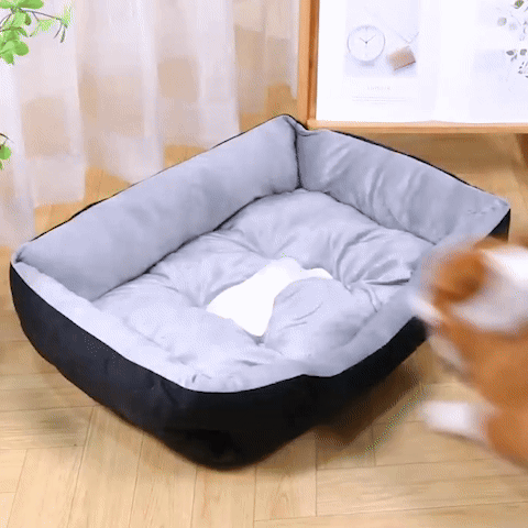 Panier pour chien | Confort Durable