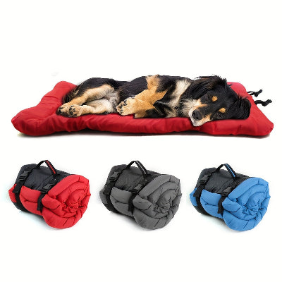 Lit de camp pour chien rouge ou gris ou bleu et avec chien dormant sur fond blac