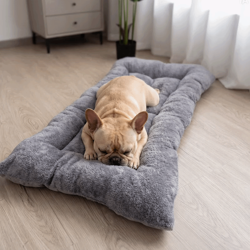Matelas pour chien​ GIF gris sur planchers de bois du salon avec pug et beagle dormant paisiblement et bichon assis heureux en trois images en boucle