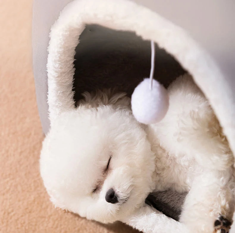 Niche pour Chien interieur gris avec un chien dormant profondément 