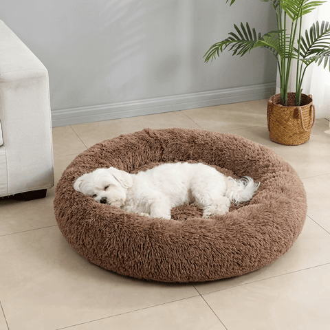Panier Chien | Confort Optimal