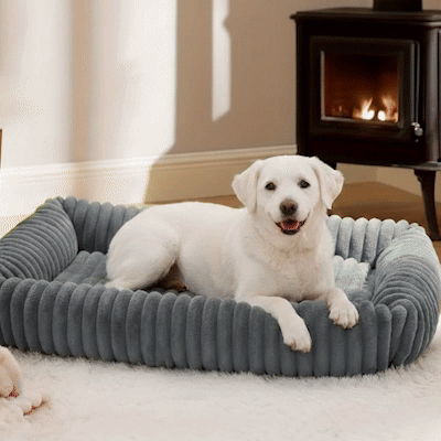 Lit pour Chien GIF blanc avec chien dormant paisiblement et gris avec chiens couchés heureux et souriant en trois imaes en boucle