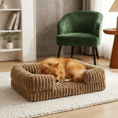 Panier pour chien | Confortable et Résistant
