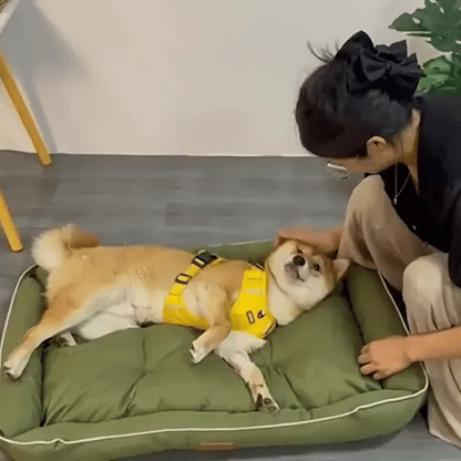 Panier pour chien | Ultra Confortable