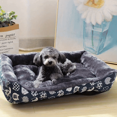 Panier pour chien | Ultra-Confortable