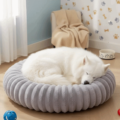 Panier pour Chien | Confort Optimal