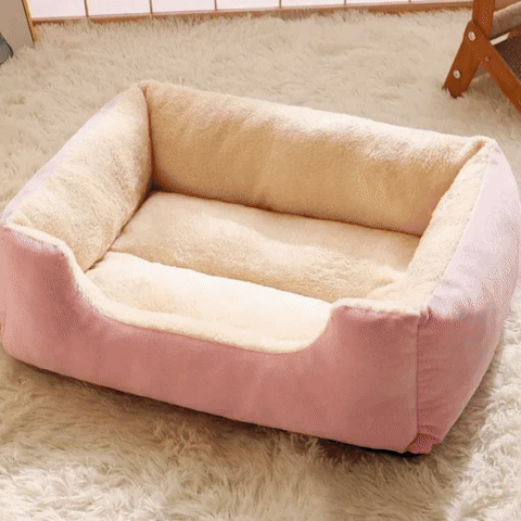 Panier pour chien | Confort Premium