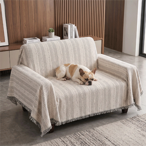 Protection canapé chien GIF gris et noir et gris clair et vert avec chiens couchés en trois images en boucle