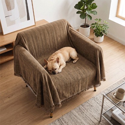 Protection canapé chien GIF marron sur canapé une place petit avec chien couché en rond dormant paisiblement et deux places avec husky couché regardant l'objectif heureux en trois images en boucle