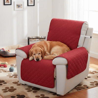 Protection canapé GIF rouge gris noir sur fauteuil d'appoint ou inclinable blanc avec golden retriever dormant paisiblement en trois images en boucle