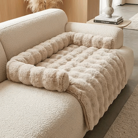 Protection canapé chien GIF beige vide sur canapé beige et blanc avec chien moyen couché et beige avec caniche brn pâle couché regardant l'objectif trois iages en boucle