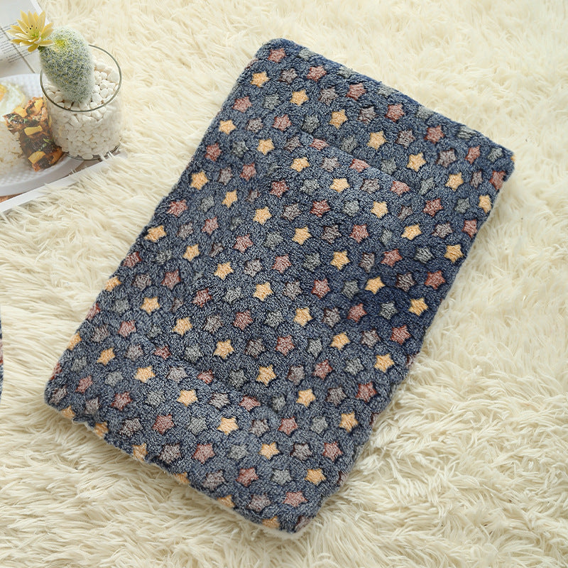 Tapis chien bleu vide sur moquette beige pâle 