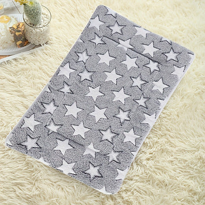 Tapis chien gris pâle étoiles blanches vide sur moquette beige pâle 