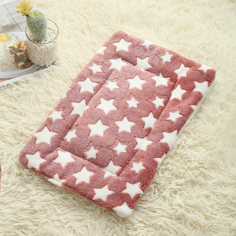 Tapis chien rose étoiles blanches vide sur moquette beige pâle 