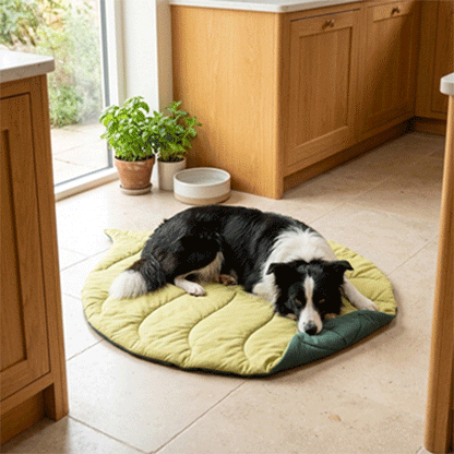 Tapis Chien | Antidérapant Absorbant