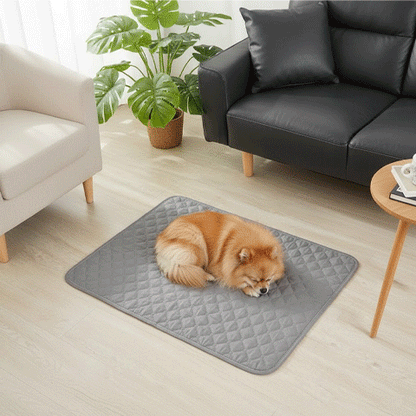 Tapis pour Chien | Confort Antidérapant Lavable