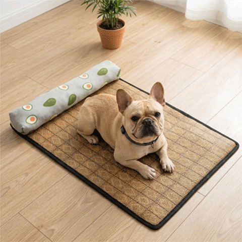 Tapis rafraichissant Chien GIF trois photos en boucle avec pug couché sur tapis vert/avocats chiwawa assis heureux sur tapis vert/avocats gros chiengris couché 