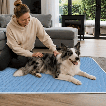Tapis rafraichissant Chien GIF bleu sur le sol du salon devant canapé avec berger australien heureux et sa maîtresse le caressant trois images en boucle