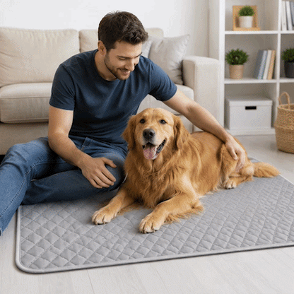 Tapis rafraichissant Chien GIF gris sur le sol au pied du lit avec golden retriever couché souriant et  gris sur le sol devant le lit avec chien couché et la maîtresse ou le maître caressant en boucle