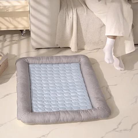 Tapis rafraichissant Chien GIF gris vide sur le sol du salon avec chien qui s'y installe