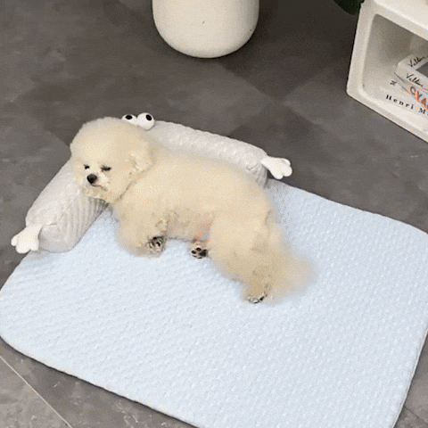Coussin pour chien | Ultra-Confort