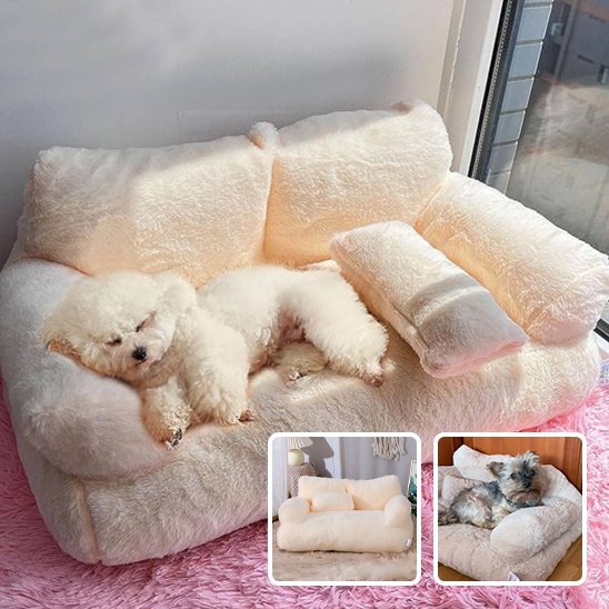Canapé pour chien